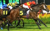 Deep Pockets at his last win on June 1, 2012 when he flew home from near last under jockey Danny Beasley.<br>Photo by Singapore Turf Club